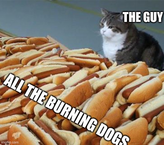 Too many hot dogs | THE GUY ALL THE BURNING DOGS | image tagged in too many hot dogs | made w/ Imgflip meme maker