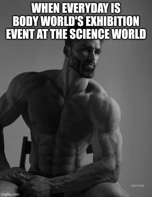 Giga Chad | WHEN EVERYDAY IS BODY WORLD'S EXHIBITION EVENT AT THE SCIENCE WORLD | image tagged in giga chad,gigabytes,body world | made w/ Imgflip meme maker