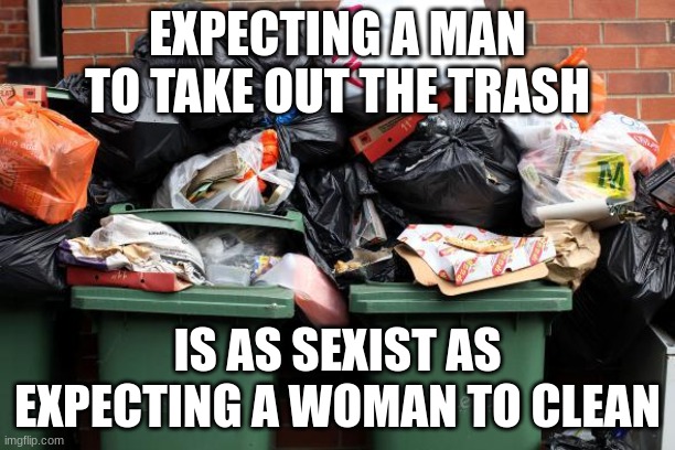 Equal rights |  EXPECTING A MAN TO TAKE OUT THE TRASH; IS AS SEXIST AS EXPECTING A WOMAN TO CLEAN | image tagged in memes,funny,sexist,human rights,trash | made w/ Imgflip meme maker