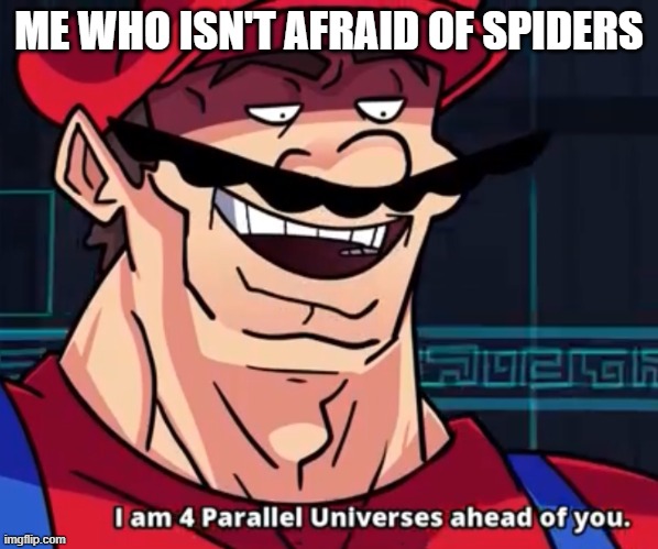 Im 4 parrelel universes ahead of you | ME WHO ISN'T AFRAID OF SPIDERS | image tagged in im 4 parrelel universes ahead of you | made w/ Imgflip meme maker