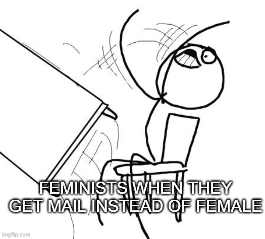 Table Flip Guy Meme | FEMINISTS WHEN THEY GET MAIL INSTEAD OF FEMALE | image tagged in memes,table flip guy | made w/ Imgflip meme maker