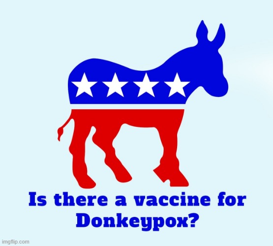 Donkeypox is worse than Monkeypox | image tagged in democrats,donkey,monkey pox,liberals,vaccines | made w/ Imgflip meme maker