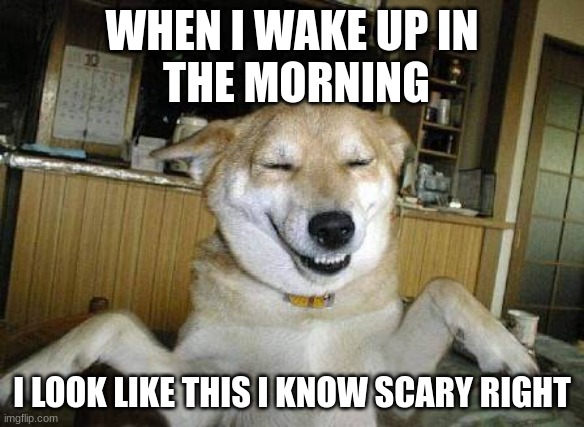 Durp dawg | WHEN I WAKE UP IN
 THE MORNING; I LOOK LIKE THIS I KNOW SCARY RIGHT | image tagged in durp dawg | made w/ Imgflip meme maker