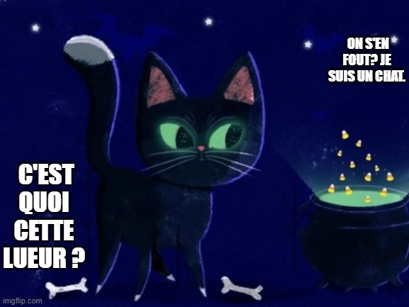 kkpp | ON S'EN FOUT? JE SUIS UN CHAT. C'EST QUOI CETTE LUEUR ? | image tagged in kkpp | made w/ Imgflip meme maker