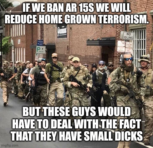 Maga troopa | IF WE BAN AR 15S WE WILL REDUCE HOME GROWN TERRORISM. BUT THESE GUYS WOULD HAVE TO DEAL WITH THE FACT THAT THEY HAVE SMALL DICKS | image tagged in conservative,mass shooting,gun,democrat,trump,republican | made w/ Imgflip meme maker