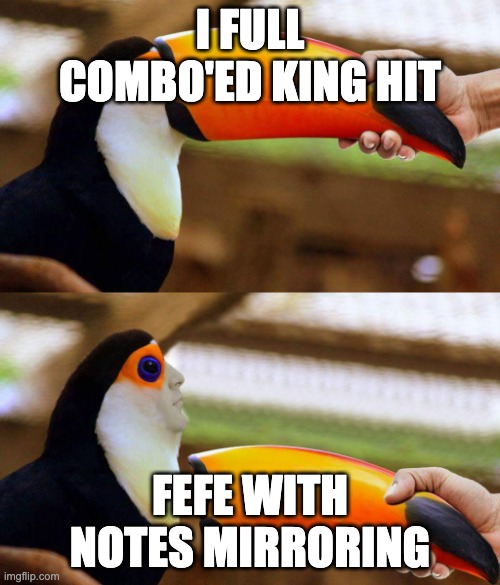 Roblox funky Friday be like: | I FULL COMBO'ED KING HIT; FEFE WITH NOTES MIRRORING | image tagged in toucan beak | made w/ Imgflip meme maker