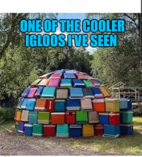 One of the cooler igloos | ONE OF THE COOLER IGLOOS I'VE SEEN | image tagged in igloos,cooler | made w/ Imgflip meme maker
