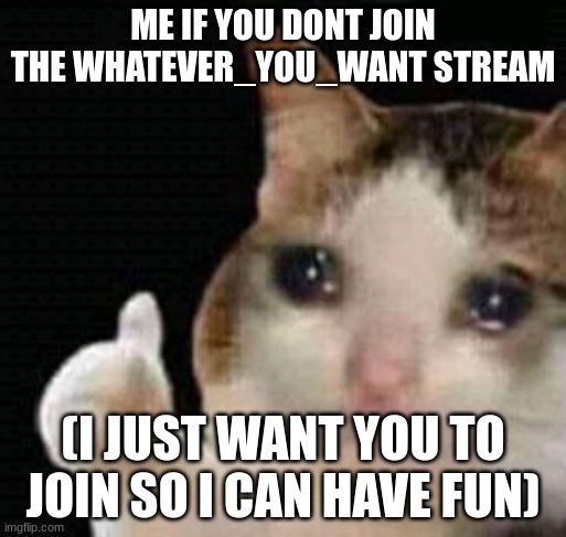 sad thumbs up cat | ME IF YOU DONT JOIN THE WHATEVER_YOU_WANT STREAM; (I JUST WANT YOU TO JOIN SO I CAN HAVE FUN) | image tagged in sad thumbs up cat | made w/ Imgflip meme maker