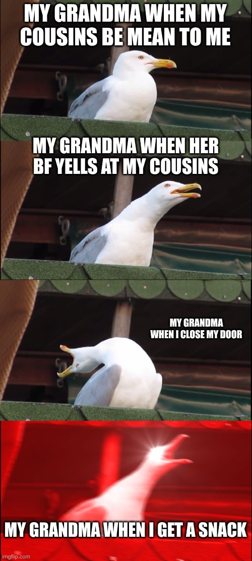 sad.... | MY GRANDMA WHEN MY COUSINS BE MEAN TO ME; MY GRANDMA WHEN HER BF YELLS AT MY COUSINS; MY GRANDMA WHEN I CLOSE MY DOOR; MY GRANDMA WHEN I GET A SNACK | image tagged in memes,inhaling seagull | made w/ Imgflip meme maker