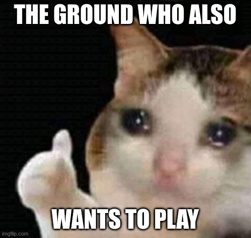 sad thumbs up cat | THE GROUND WHO ALSO WANTS TO PLAY | image tagged in sad thumbs up cat | made w/ Imgflip meme maker