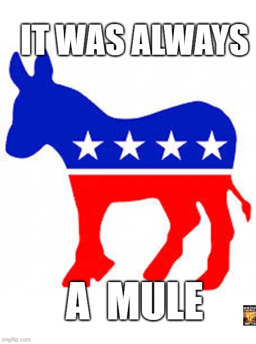 mule | IT WAS ALWAYS; A  MULE | image tagged in democrat donkey | made w/ Imgflip meme maker