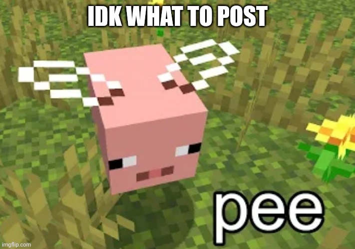 Pig bee | IDK WHAT TO POST | image tagged in pig bee | made w/ Imgflip meme maker