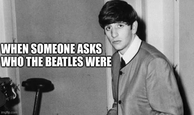 The Beatles | WHEN SOMEONE ASKS
WHO THE BEATLES WERE | image tagged in the beatles | made w/ Imgflip meme maker