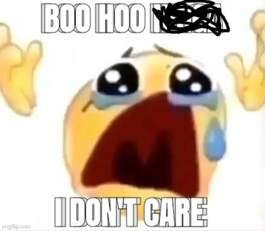 Boo hoo i don't care (better) | image tagged in boo hoo i don't care better | made w/ Imgflip meme maker