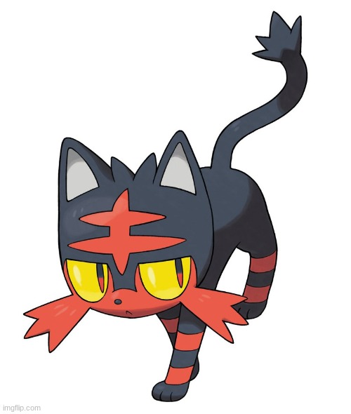 Litten! | image tagged in litten | made w/ Imgflip meme maker