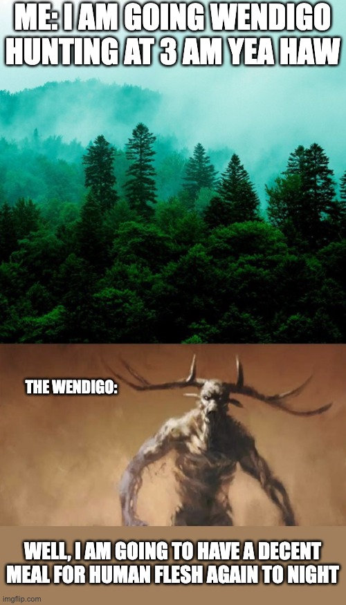 Me and the Bois are huntting wendigo at 3:00 A.M cause we are stupid | ME: I AM GOING WENDIGO HUNTING AT 3 AM YEA HAW; THE WENDIGO:; WELL, I AM GOING TO HAVE A DECENT MEAL FOR HUMAN FLESH AGAIN TO NIGHT | image tagged in forest tree tops,wendigo wants to fight you | made w/ Imgflip meme maker