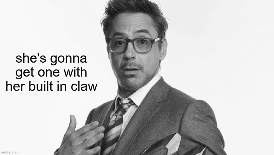 Robert Downey Jr's Comments | she's gonna get one with her built in claw | image tagged in robert downey jr's comments | made w/ Imgflip meme maker