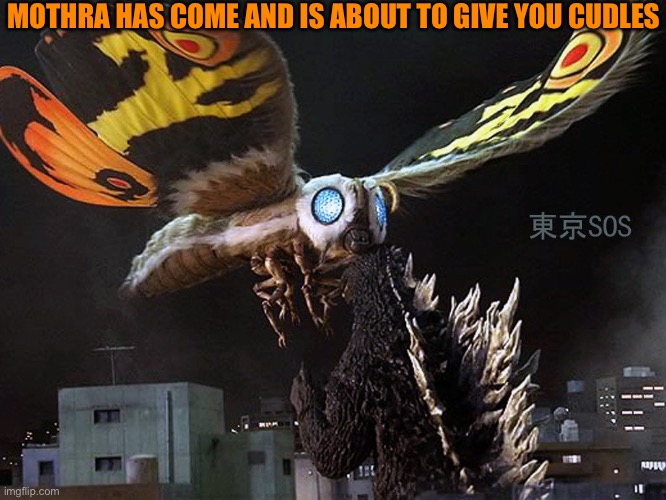 Mothra Vs Godzilla TOKYO S.O.S | MOTHRA HAS COME AND IS ABOUT TO GIVE YOU CUDLES | image tagged in mothra vs godzilla tokyo s o s | made w/ Imgflip meme maker