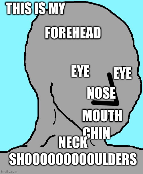 why.  just why | THIS IS MY; FOREHEAD; EYE; EYE; NOSE; MOUTH; NECK; CHIN; SHOOOOOOOOOULDERS | image tagged in memes,npc | made w/ Imgflip meme maker