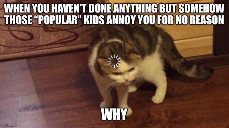 Aren’t they so annoying | WHEN YOU HAVEN’T DONE ANYTHING BUT SOMEHOW THOSE “POPULAR” KIDS ANNOY YOU FOR NO REASON; WHY | image tagged in memes,school,funny | made w/ Imgflip meme maker