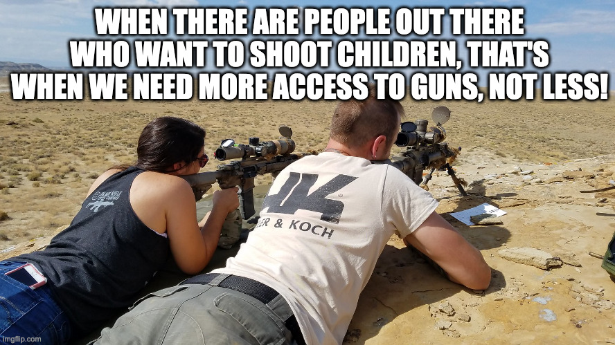 gun access | WHEN THERE ARE PEOPLE OUT THERE WHO WANT TO SHOOT CHILDREN, THAT'S WHEN WE NEED MORE ACCESS TO GUNS, NOT LESS! | image tagged in gun control | made w/ Imgflip meme maker