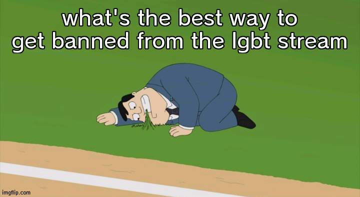 what's the best way to get banned from the lgbt stream | image tagged in stan smith touching grass | made w/ Imgflip meme maker