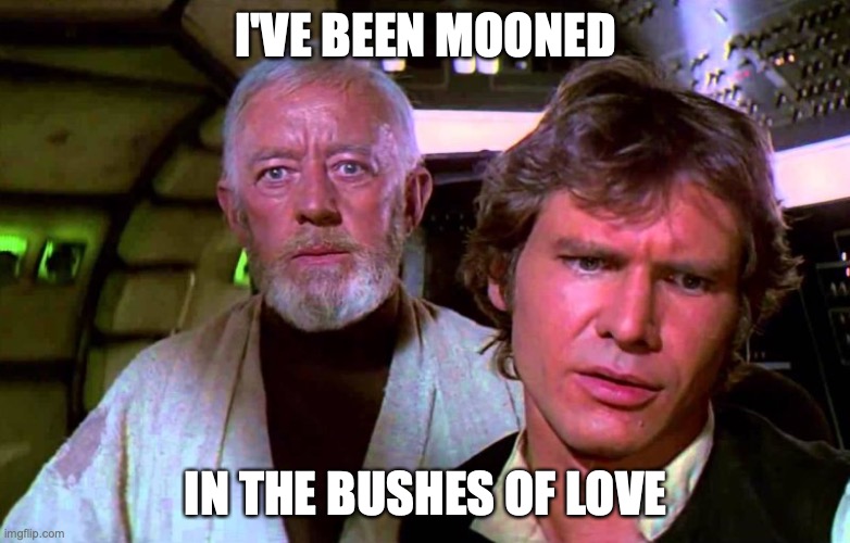 Bushes of Love | I'VE BEEN MOONED; IN THE BUSHES OF LOVE | image tagged in obi wan that's no moon,mooned,bad lip reading,obi wan kenobi,funny memes,star wars memes | made w/ Imgflip meme maker