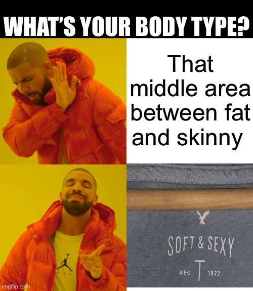 What’s your body type? Average? Nah! | WHAT’S YOUR BODY TYPE? That middle area between fat and skinny | image tagged in memes,drake hotline bling,funny | made w/ Imgflip meme maker