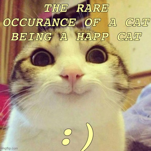 Smiling Cat Meme | THE RARE OCCURANCE OF A CAT BEING A HAPP CAT; :) | image tagged in memes,smiling cat | made w/ Imgflip meme maker
