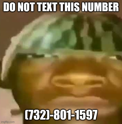 Im warning you | DO NOT TEXT THIS NUMBER; (732)-801-1597 | image tagged in shitpost,memes,unfunny,oh wow are you actually reading these tags,cursed | made w/ Imgflip meme maker