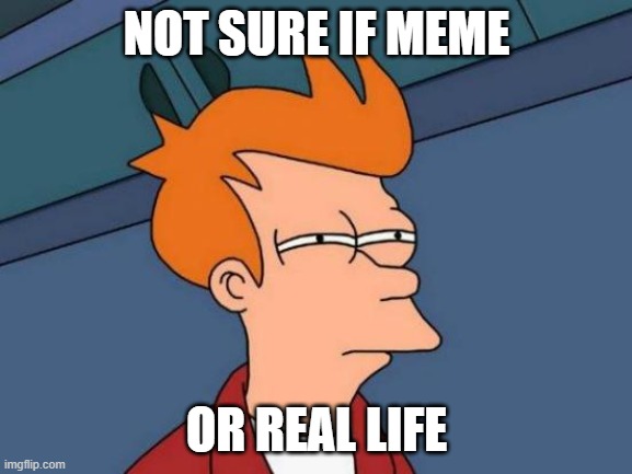 Futurama Fry Meme | NOT SURE IF MEME; OR REAL LIFE | image tagged in memes,futurama fry | made w/ Imgflip meme maker