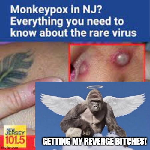 Harambe Gettin Us | GETTING MY REVENGE BITCHES! | image tagged in monkeypox | made w/ Imgflip meme maker