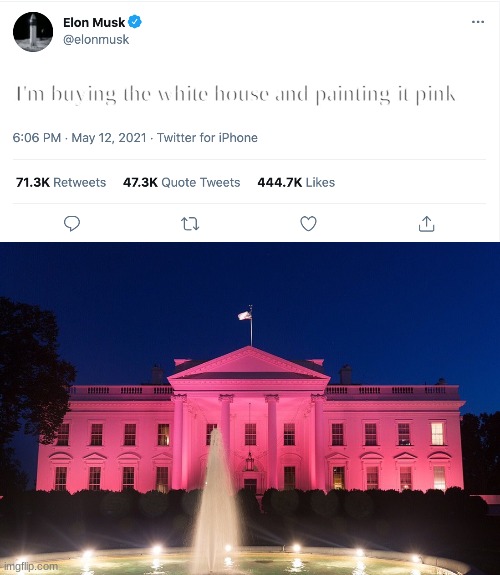 The pink house | I'm buying the white house and painting it pink | image tagged in elon musk blank tweet,white house,pink | made w/ Imgflip meme maker