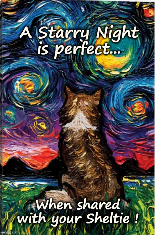 Starry Night Sheltie | A Starry Night is perfect... When shared with your Sheltie ! | image tagged in starry night,sheltie,shetland sheepdog | made w/ Imgflip meme maker