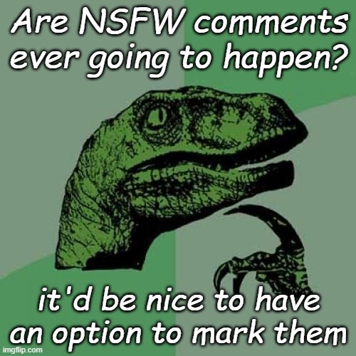 Philosoraptor Meme | Are NSFW comments ever going to happen? it'd be nice to have an option to mark them | image tagged in memes,philosoraptor | made w/ Imgflip meme maker
