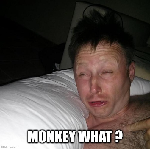 Limmy waking up | MONKEY WHAT ? | image tagged in limmy waking up | made w/ Imgflip meme maker