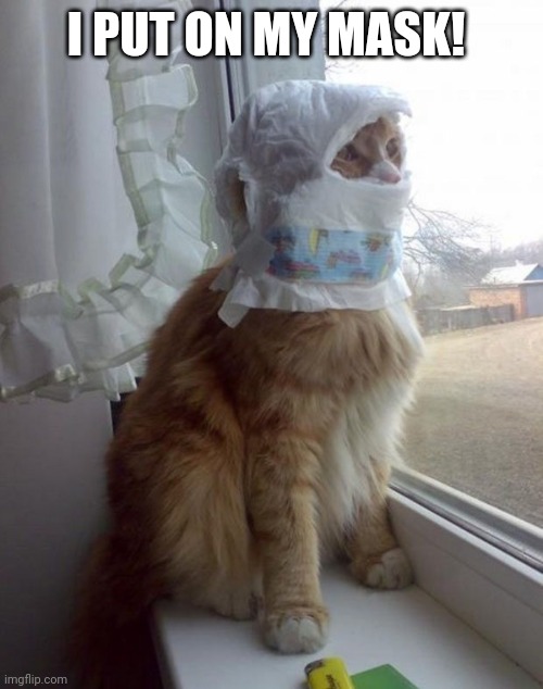 Cat mask | I PUT ON MY MASK! | image tagged in cute cat | made w/ Imgflip meme maker