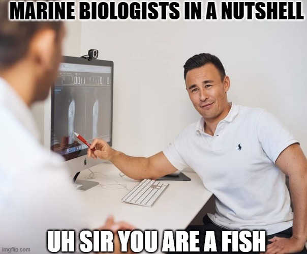 Doctor | MARINE BIOLOGISTS IN A NUTSHELL; UH SIR YOU ARE A FISH | image tagged in doctor | made w/ Imgflip meme maker