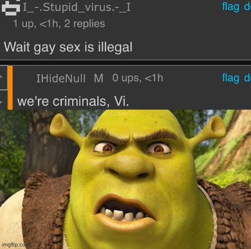 image tagged in shrek autism | made w/ Imgflip meme maker