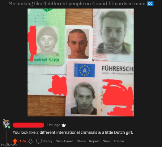 i can't unsee the little dutch girl | image tagged in rare insults | made w/ Imgflip meme maker