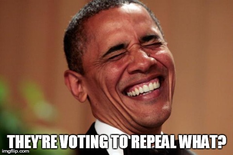 THEY'RE VOTING TO REPEAL WHAT? | image tagged in repeal | made w/ Imgflip meme maker