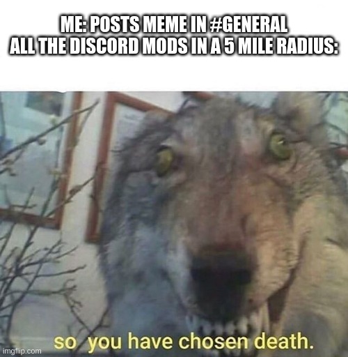 I'll never die! | ME: POSTS MEME IN #GENERAL
ALL THE DISCORD MODS IN A 5 MILE RADIUS: | image tagged in so you have chosen death,discord moderator | made w/ Imgflip meme maker