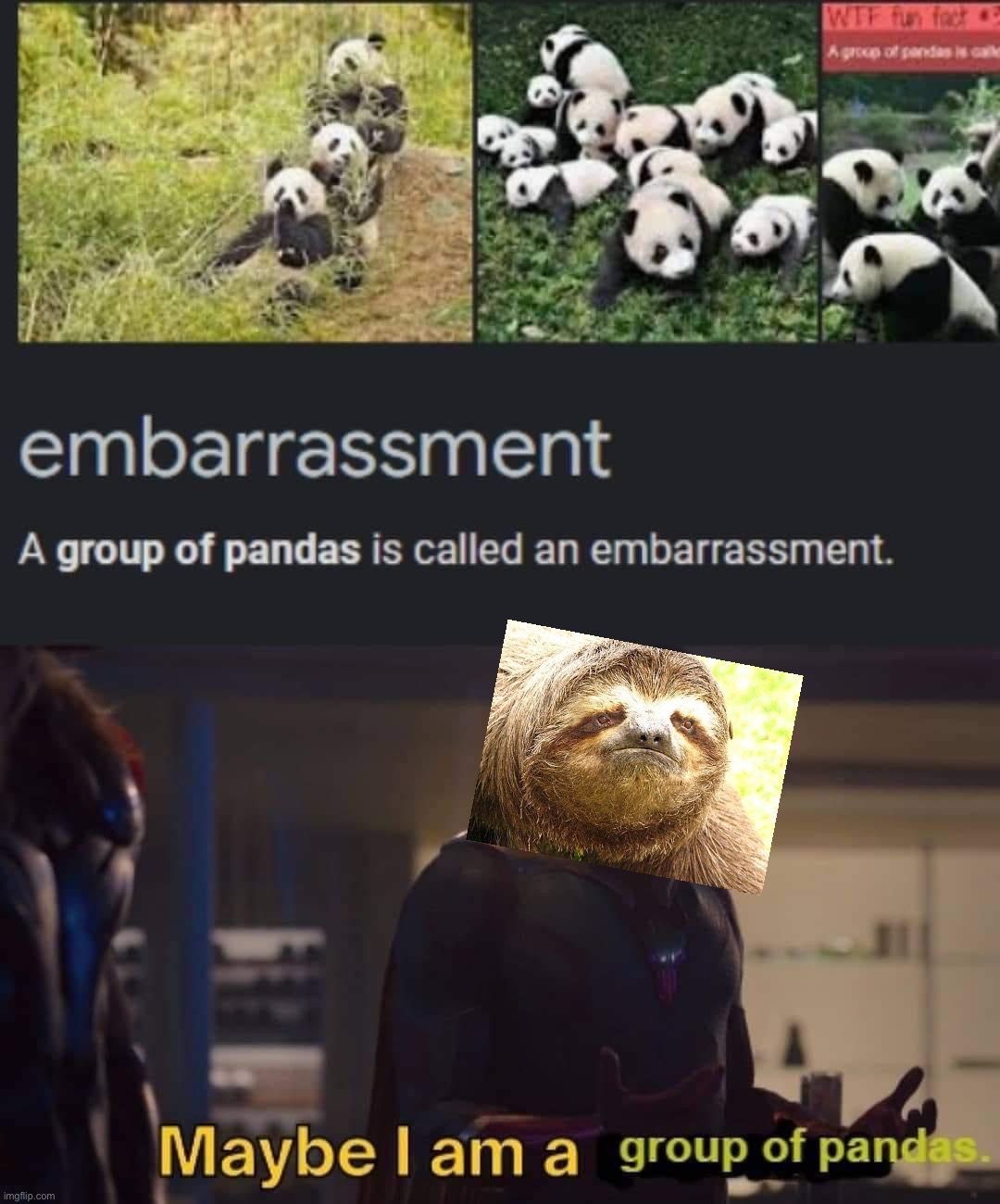 #IdentityCrisis | image tagged in a group of pandas,embarrassment,group of pandas,indentity,crisis,sloth | made w/ Imgflip meme maker