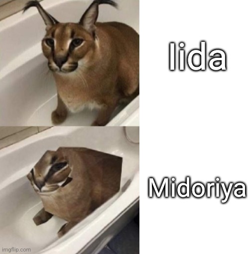 Facs | Iida; Midoriya | image tagged in 2 bits floppa,my hero academia,anime,funny,memes,funny memes | made w/ Imgflip meme maker