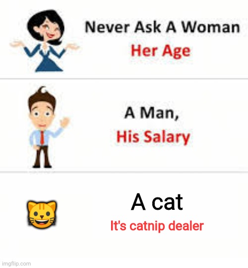 Never ask a woman her age | 🐱; A cat; It's catnip dealer | image tagged in never ask a woman her age | made w/ Imgflip meme maker