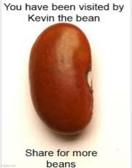 Kevin has seen you (Mod note: BEANS) | image tagged in beans,mr bean | made w/ Imgflip meme maker