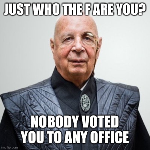 Klaus Schwab | JUST WHO THE F ARE YOU? NOBODY VOTES TED YOU TO ANY OFFICE | image tagged in klaus schwab | made w/ Imgflip meme maker