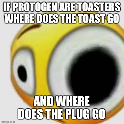 Big eye flushed | IF PROTOGEN ARE TOASTERS WHERE DOES THE TOAST GO; AND WHERE DOES THE PLUG GO | image tagged in big eye flushed | made w/ Imgflip meme maker