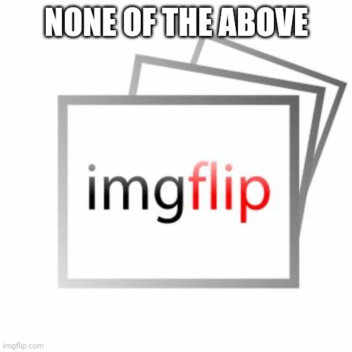 Imgflip | NONE OF THE ABOVE | image tagged in imgflip | made w/ Imgflip meme maker