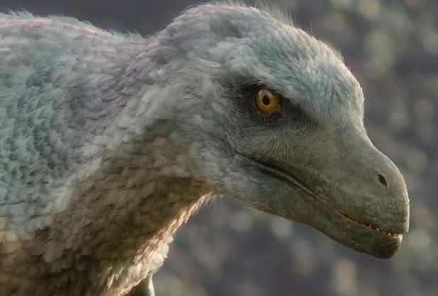Velociraptor Blank Meme Template